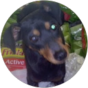 Luigi Ardizzone Luigi Ardizzone